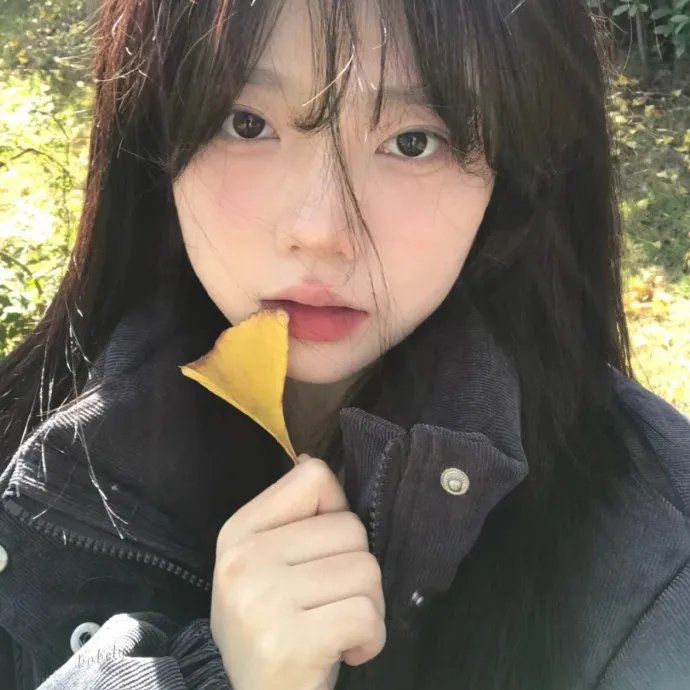 何处寻真相